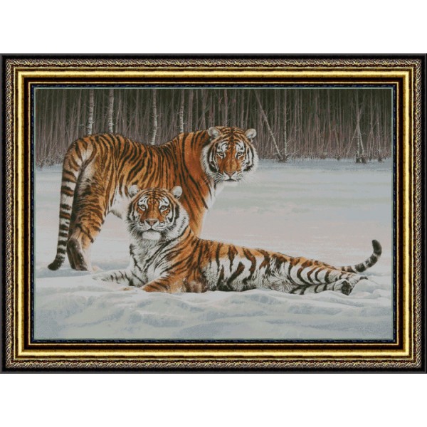 Зимние тигры