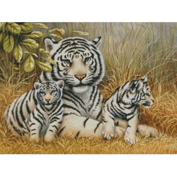 Тигриное семество