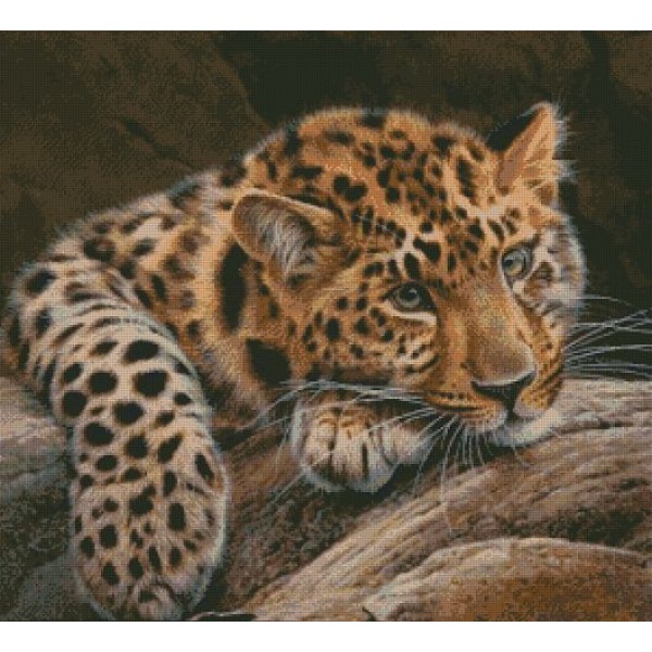 Малыш леопард