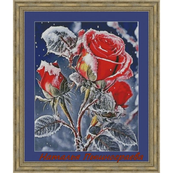 Роза в снегу 1
